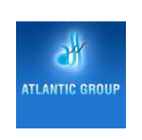 Logo Item