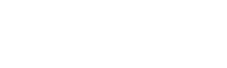 B-Next Advisors | Fueling Growth